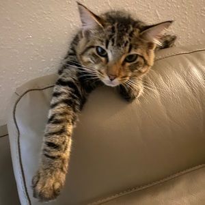 Meet your Posher, Karen